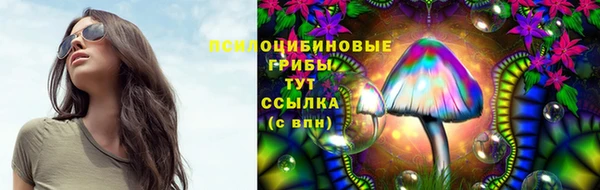 спиды Беломорск