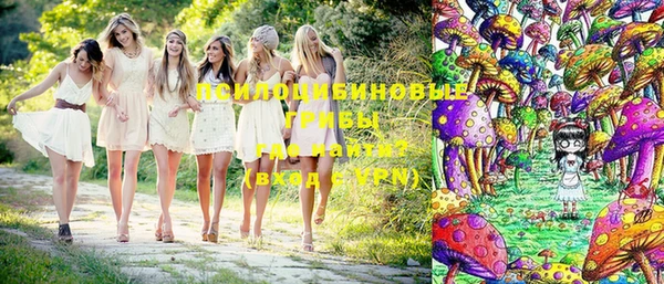марки lsd Белокуриха