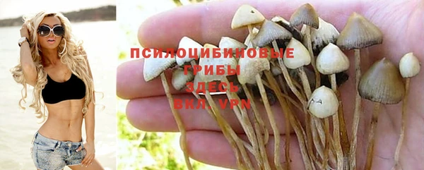 ешки Белоозёрский