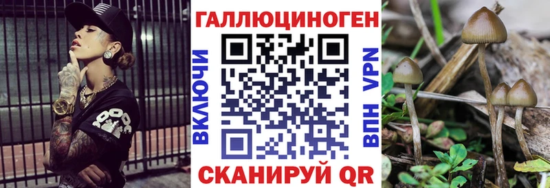 Псилоцибиновые грибы мицелий Вольск