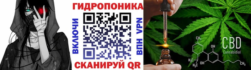 Конопля OG Kush  ОМГ ОМГ ONION  Вольск 